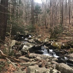 Meet your Posher, Lety